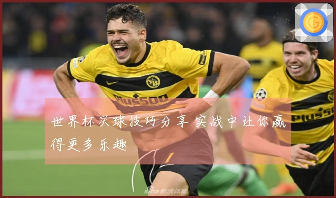 世界杯买球技巧分享 实战中让你赢得更多乐趣