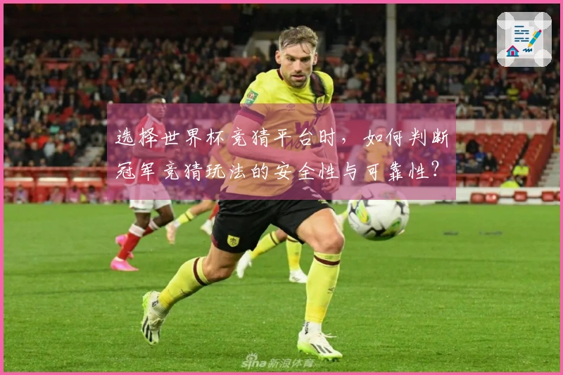 选择世界杯竞猜平台时，如何判断冠军竞猜玩法的安全性与可靠性？