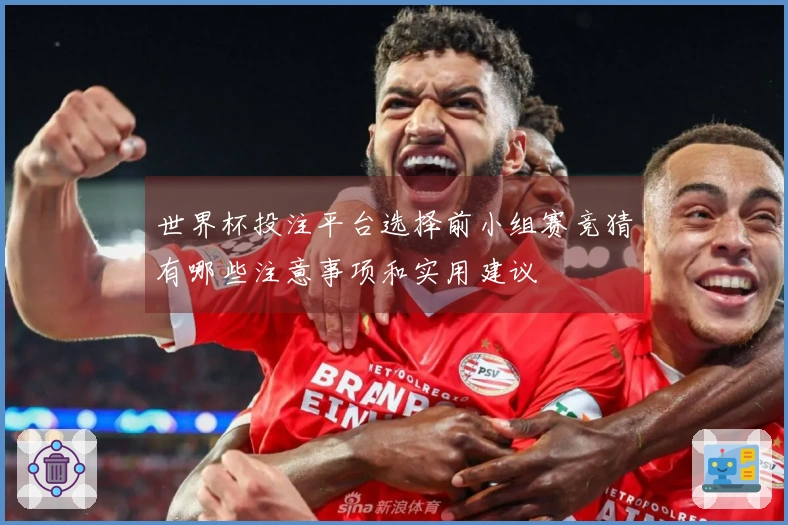 世界杯投注平台选择前小组赛竞猜有哪些注意事项和实用建议