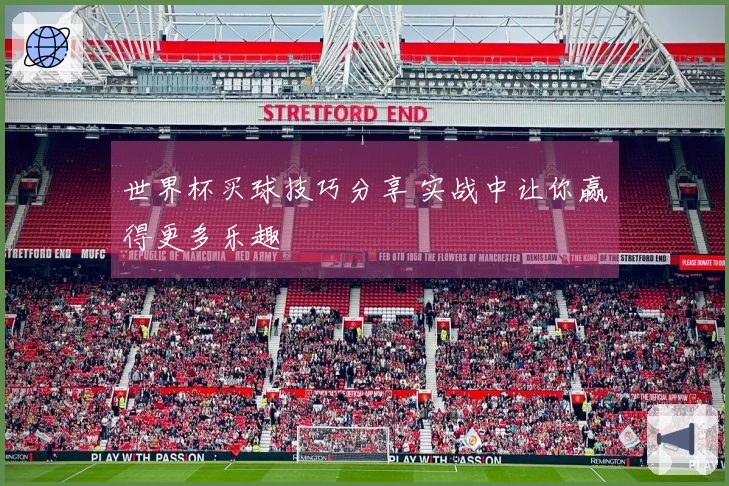世界杯买球技巧分享 实战中让你赢得更多乐趣