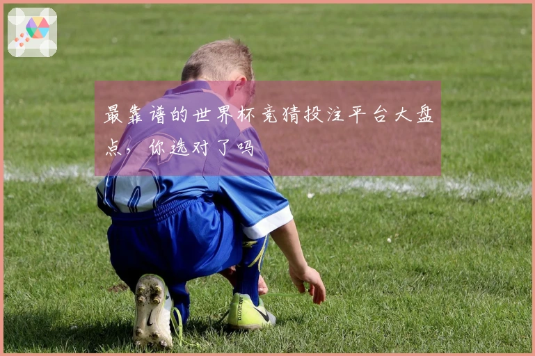 最靠谱的世界杯竞猜投注平台大盘点，你选对了吗